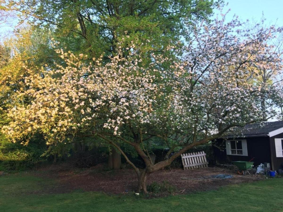 Rose House B&B Gent Bagian luar foto
